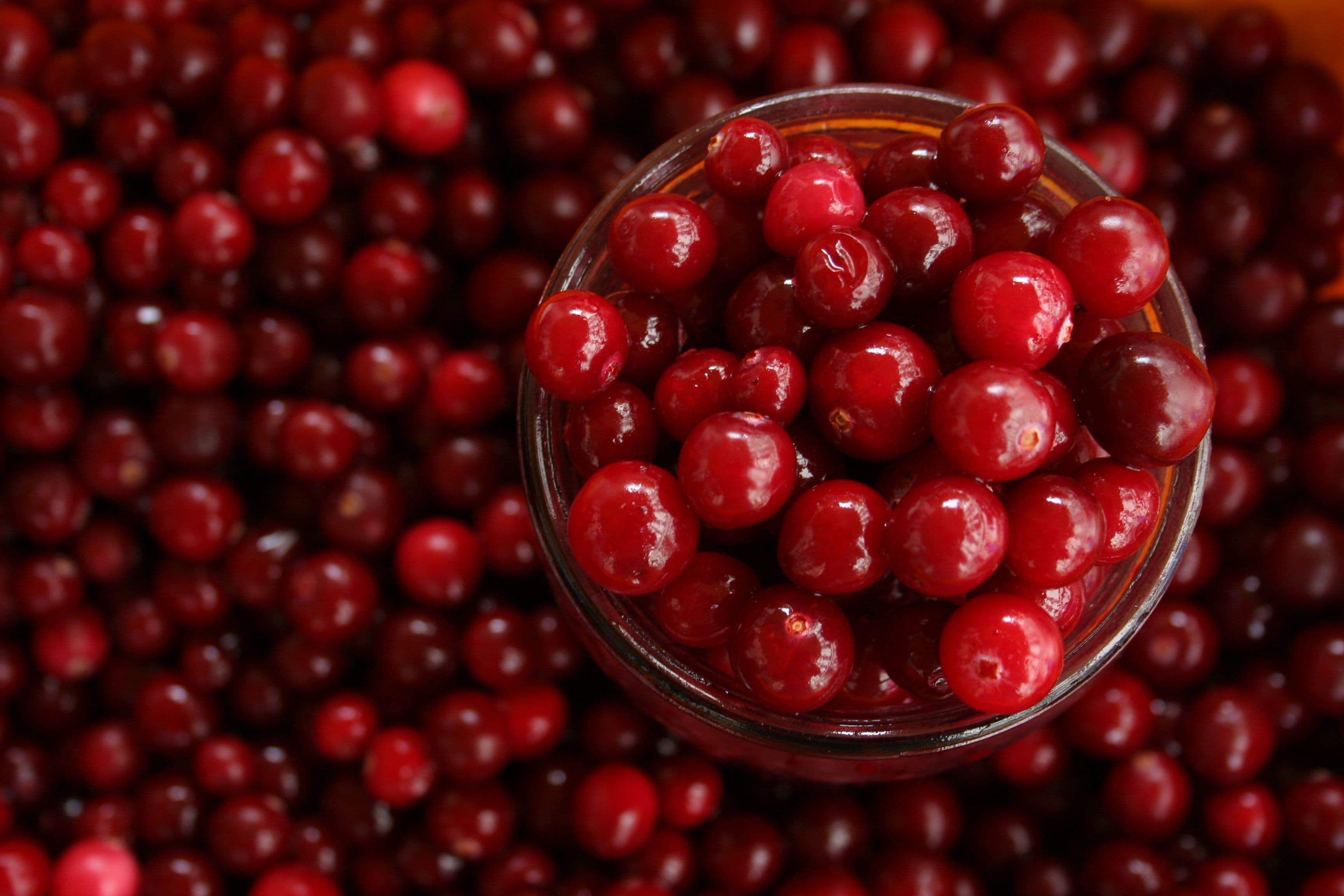 Cranberry & Rosberry