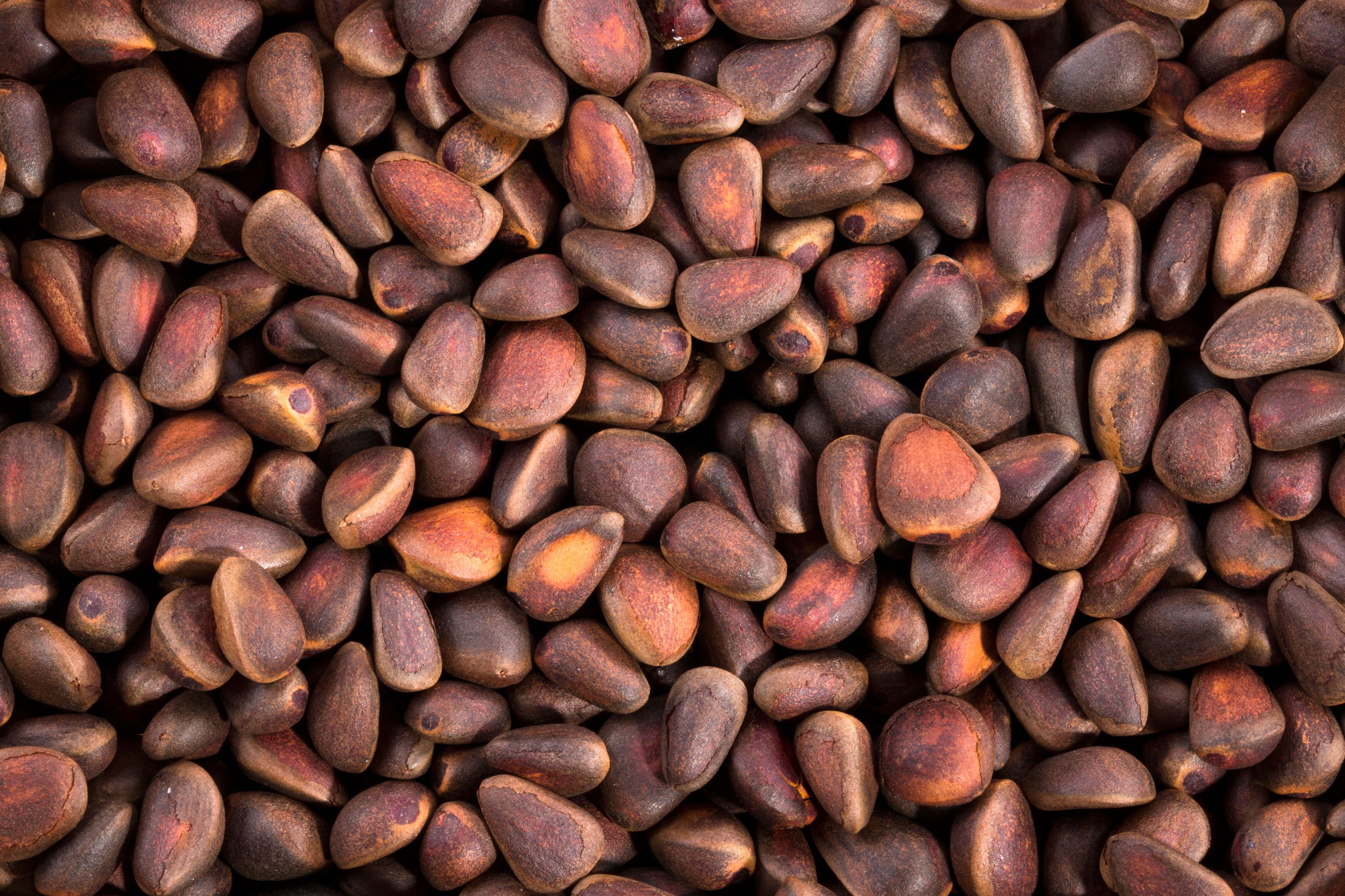 Pine Nuts