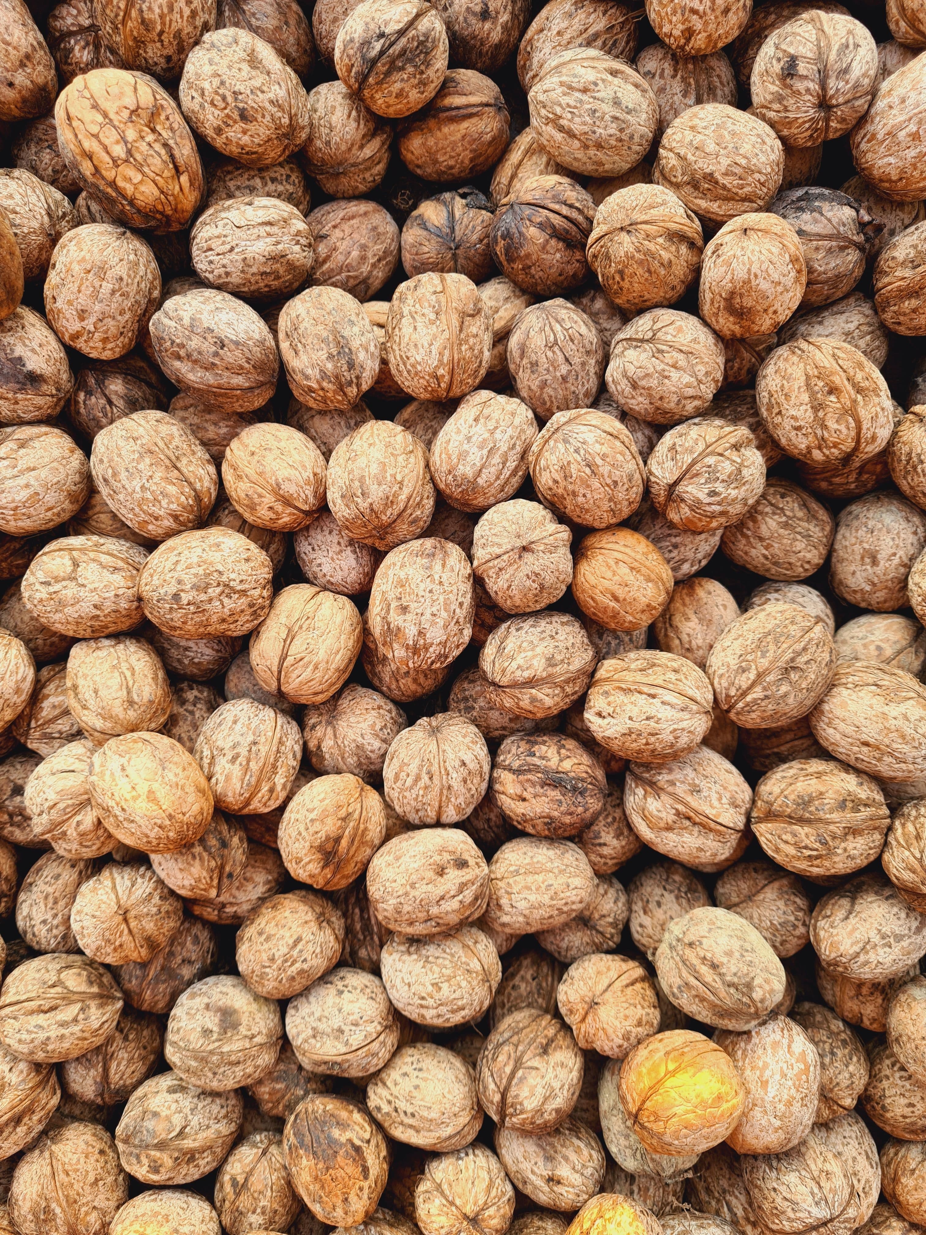 Walnut Kagzi Big Size